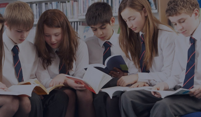 Победитель конкурса «Лучший социальный проект 2018 года» в номинации «Интернет-признание»